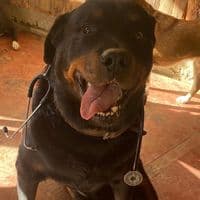 TikTok Account - zeusnorbu