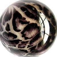 TikTok Account - __806amm