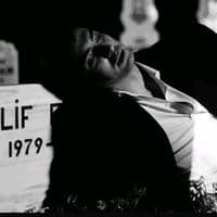 TikTok Account - kuzey.amz