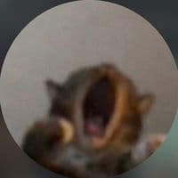 TikTok Account - ca11mebabygirl