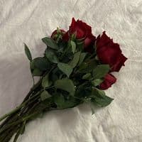 TikTok Account - wo.h7