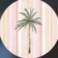 TikTok Account - liivj7