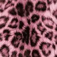 TikTok Account - raa._.a2