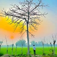 TikTok Account - t.a....n.....z...i...m4