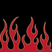 TikTok Account - drivenoise