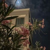 TikTok Account - rolliyhh5ax