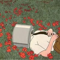 TikTok Account - nunez106