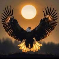 TikTok Account - _siyatsi1.0