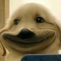 TikTok Account - su.gxt