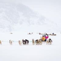 TikTok Account - rasmuseliassen650