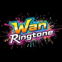 TikTok Account - wanringtone