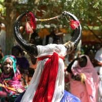 TikTok Account - medo249sd