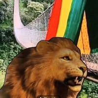 TikTok Account - karimuh79