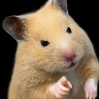 TikTok Account - nexsir_929