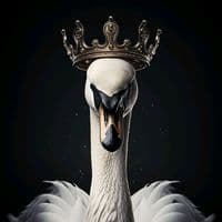 TikTok Account - lachaparrah