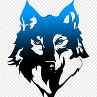 TikTok Account - alex_wolf_007