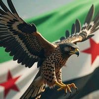 TikTok Account - m___w515___963