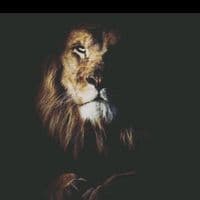 TikTok Account - n83sh