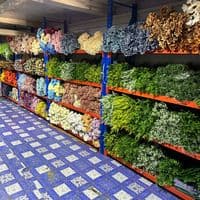 TikTok Account - aye.min.tun33