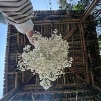 TikTok Account - chadorwangmo1212