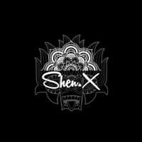 TikTok Account - shenx_999