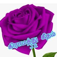 TikTok Account - jk14720