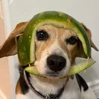 TikTok Account - sam_bourgoin76