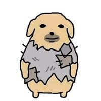 TikTok Account - zawhtue9