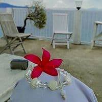 TikTok Account - benar.saya8