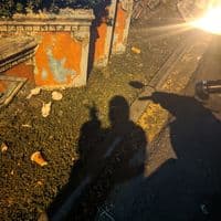 TikTok Account - serly.mardh