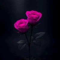 TikTok Account - reelsofumar