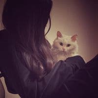 TikTok Account - ya_ra426