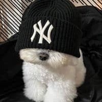 TikTok Account - allmeidaz_