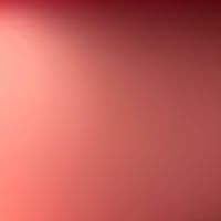 TikTok Account - _bolo23