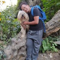 TikTok Account - chestertonny