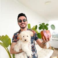 TikTok Account - dizaynoloji