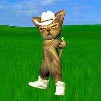 TikTok Account - gato.donato