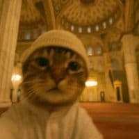 TikTok Account - tl0o9