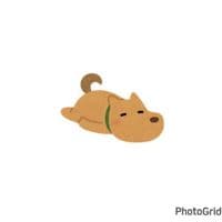 TikTok Account - kei____06