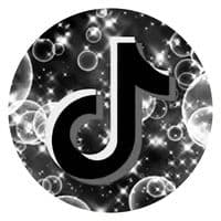 TikTok Account - lqt555
