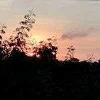 TikTok Account - nusara_foodee