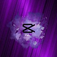 TikTok Account - janne.495