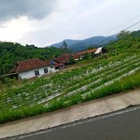 TikTok Account - reyyyyyy151