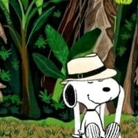 TikTok Account - lupitavqz047