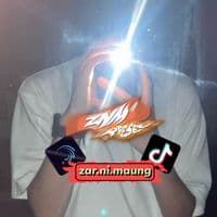 TikTok Account - zar.ni.maung1568
