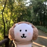 TikTok Account - wwmmc