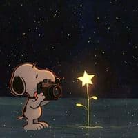 TikTok Account - yesica..116