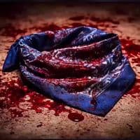 TikTok Account - zoo.bad8