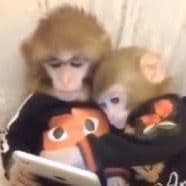 TikTok Account - _drtx.rg