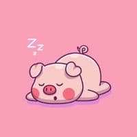 TikTok Account - ngn.chibi8